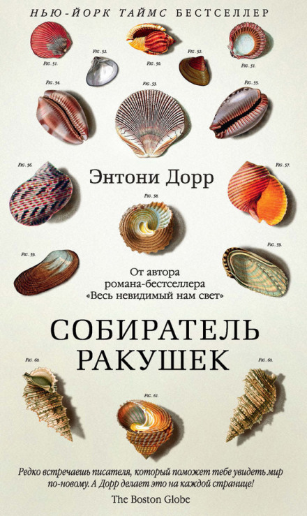 The Shell Collector