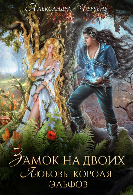 A Castle for Two: The Elf King's Love