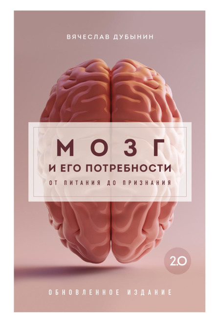 The Brain and Its Needs 2.0. From Nutrition to Recognition