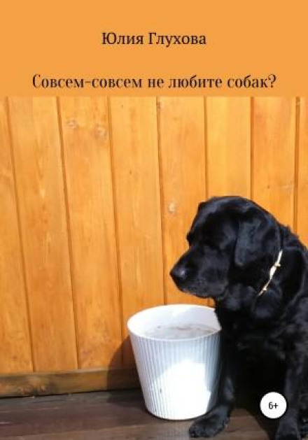 Don't You Like Dogs at All?