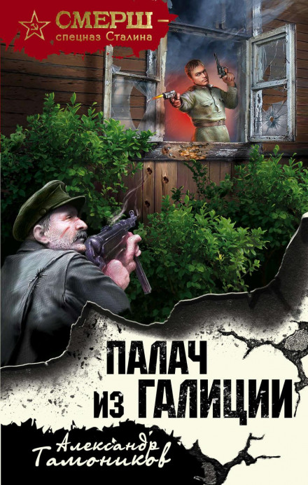 Кат з Галіції