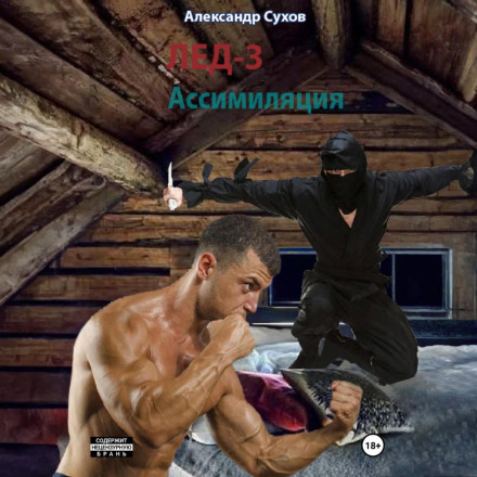 Ice 3: Assimilation
