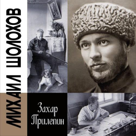 Шолохов. Незаконний