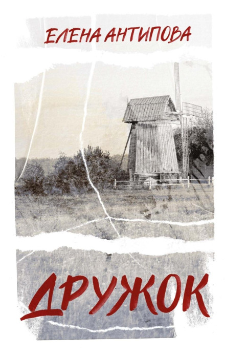 Druzhok