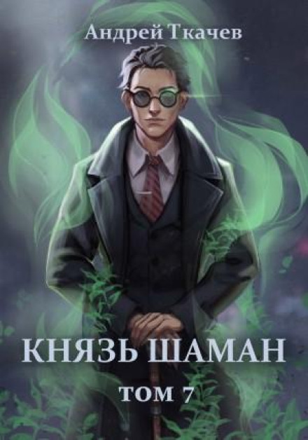 Prince Shaman. Book 7