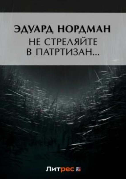 Don't Shoot the Partisans…