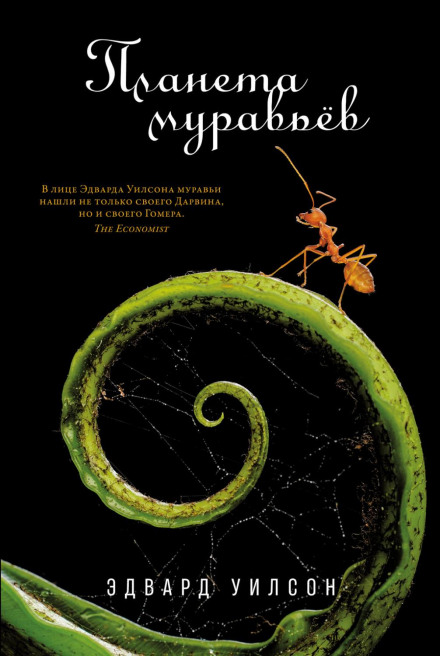 Планета мурах