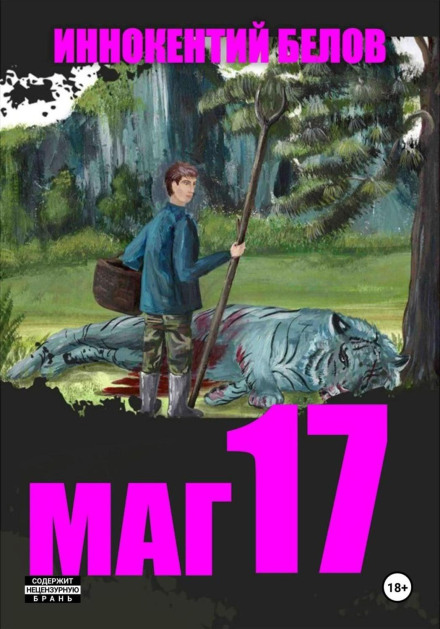 Mage 17
