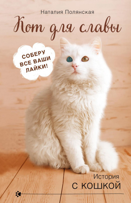 A Cat for Glory