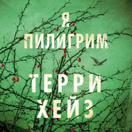 Я Пілігрим