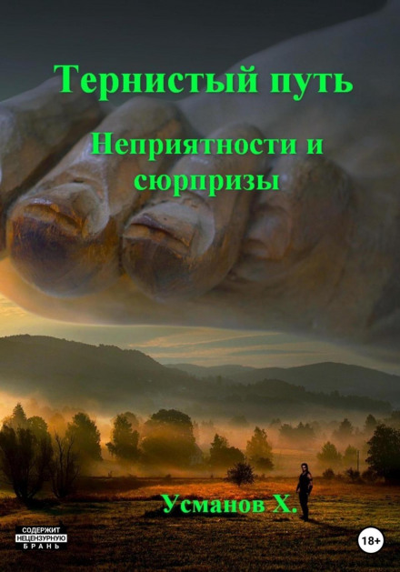 Тернистий шлях. Неприємності та сюрпризи