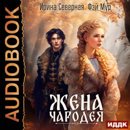 Дружина чаклуна