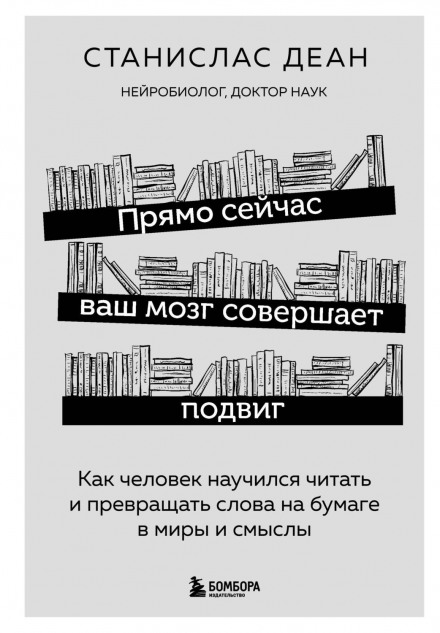 Reading in the Brain