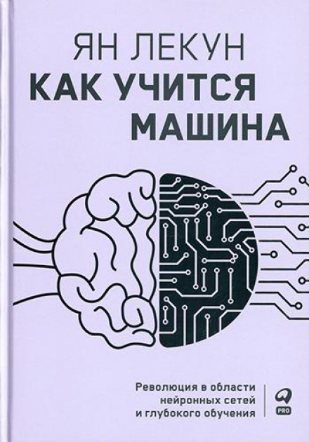 How the Machine Learns. The Revolution in Neural Networks and Deep Learning