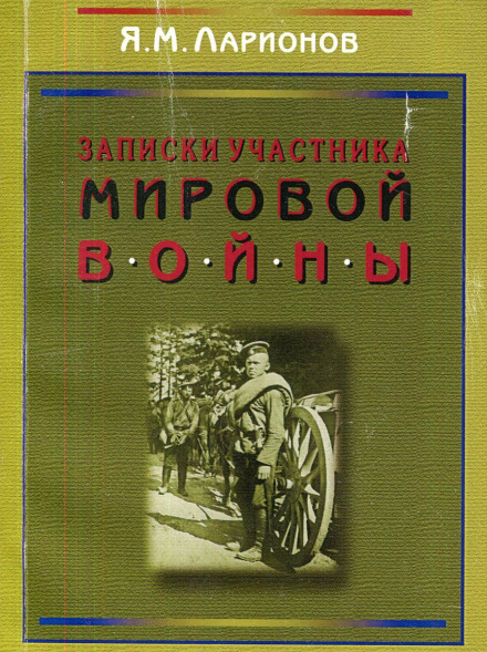 Notes of a World War Participant