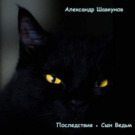 Consequences. Son of Witches