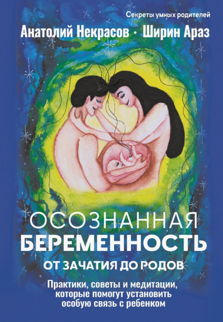 Conscious Pregnancy from Conception to Birth. Practices, Tips and Meditations to Help You Establish a Special Bond with Your Baby