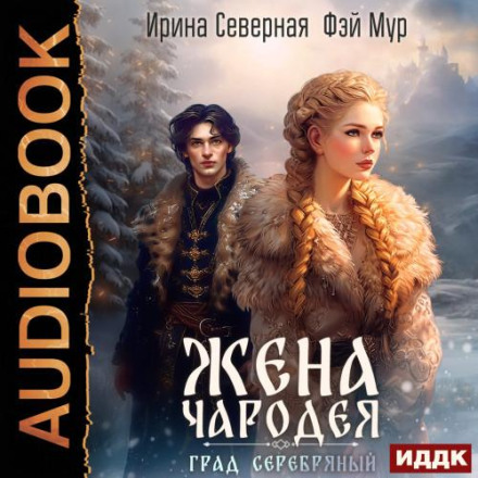 Дружина чаклуна. Град Срібний