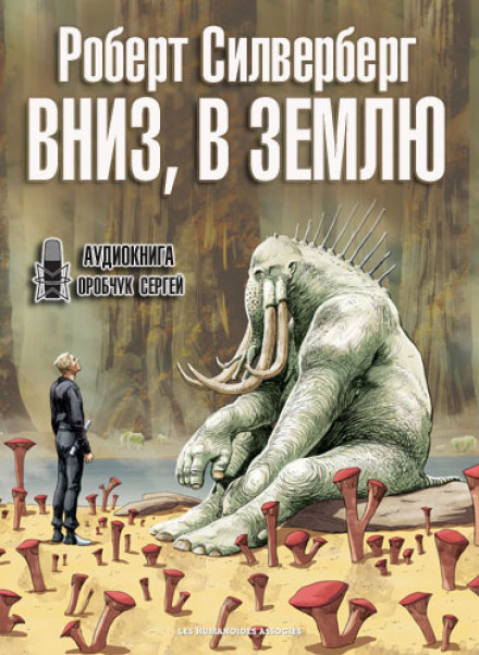 Вниз, у землю