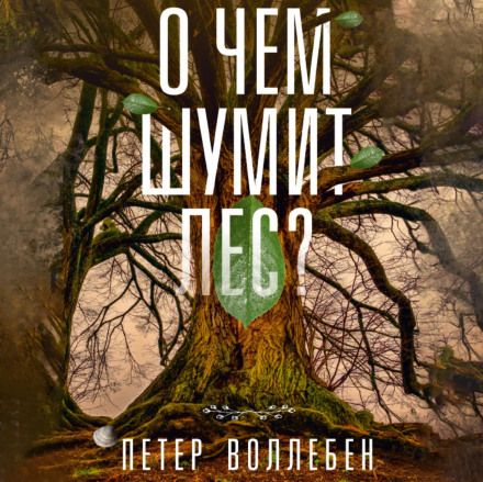 The Hidden Life of Trees