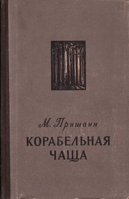 Корабельна хаща