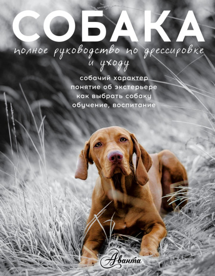 Собака. Повний посібник з дресирування та догляду
