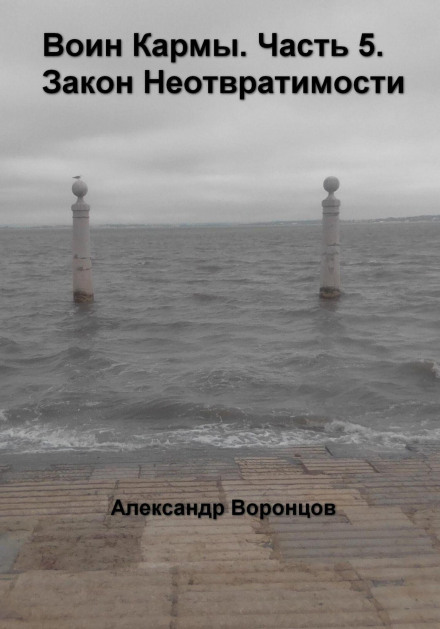 Воїн Карми. Частина 5. Закон Невідворотності