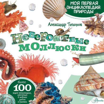 Incredible Mollusks