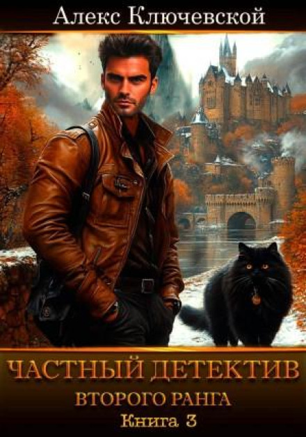 Private Detective of the Second Rank. Book 3