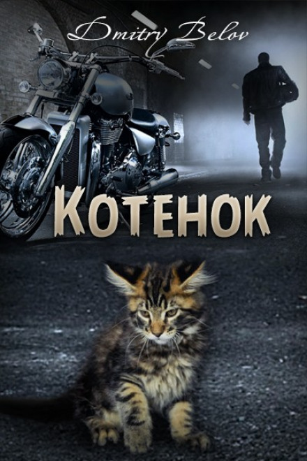 Kitten