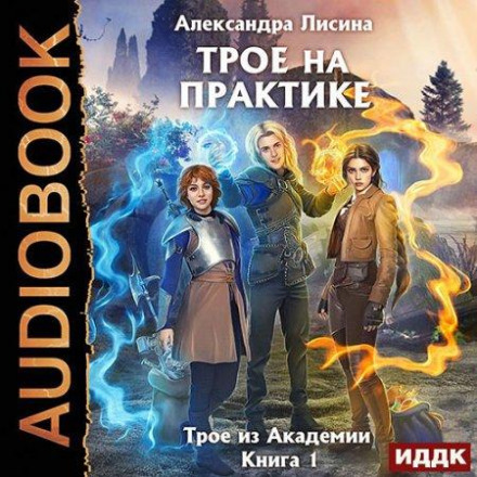 Троє на практиці