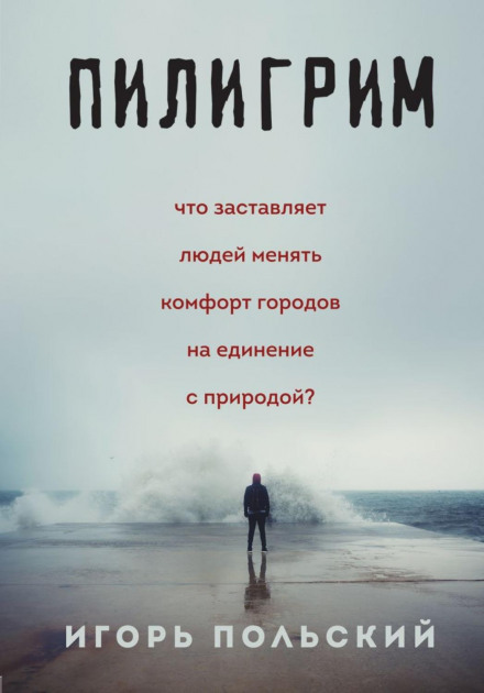 Pilgrim: Diaries of the Beginning of the End of the World