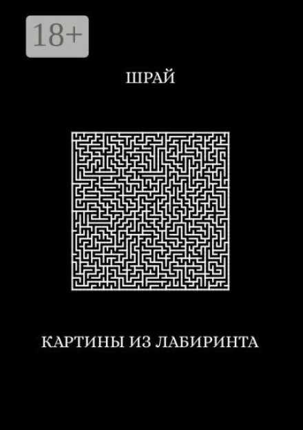 Pictures from the Labyrinth
